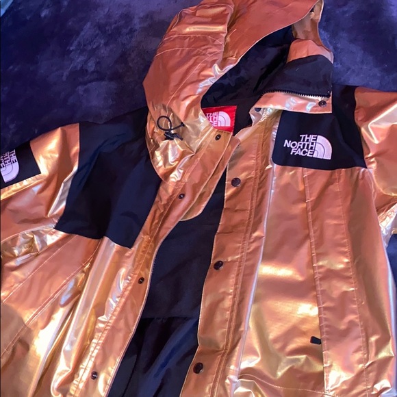 Supreme the north face metallic mountain
